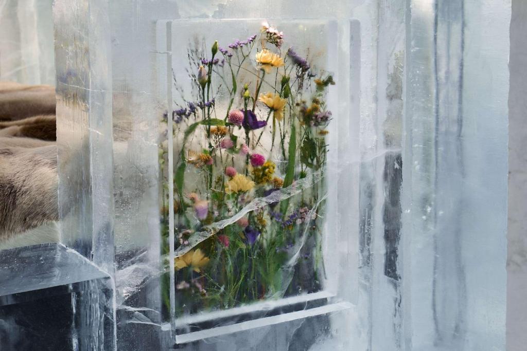 Arctic Hotel Gallery