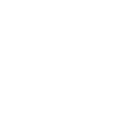 The Steam Hotel Logo